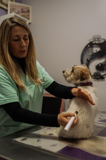 Sabrina Peli - Veterinario Olistico Alternativo - Thumbnail