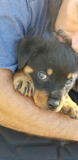Lakeview Kennel - Thumbnail
