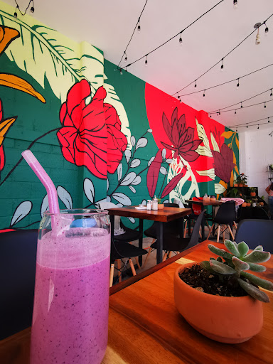 Amapola Coffee and Plants - Thumbnail