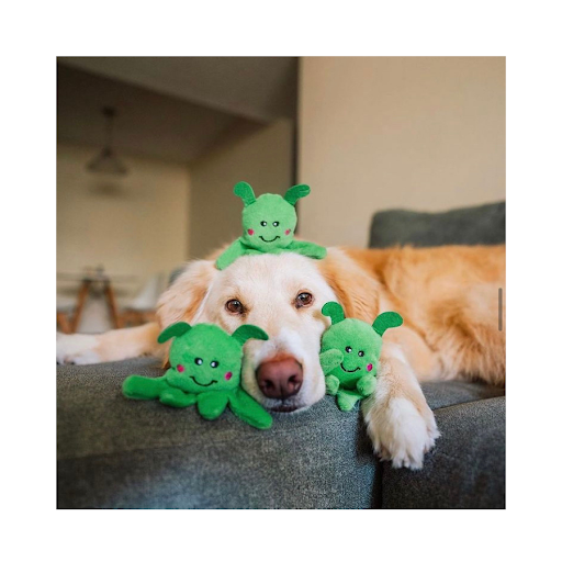 Importadora y comercializadora Todo Animal Accesorios y Alimentos para Mascotas - Thumbnail