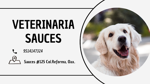 Clínica Veterinaria Sauces