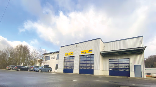 Frommer Frank l vehicle experts
