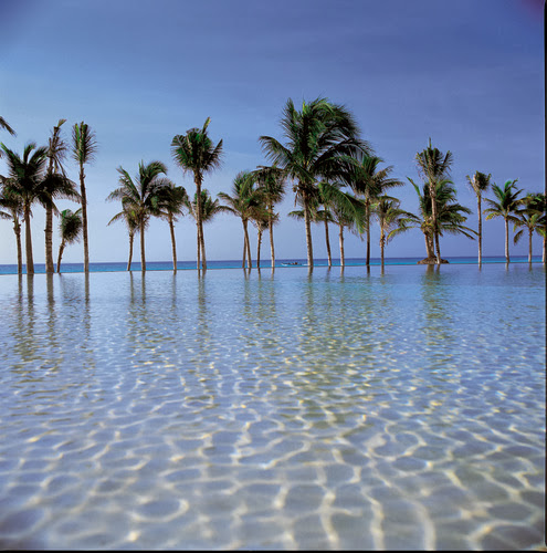 Cruise Holidays Land and Sea Vacations