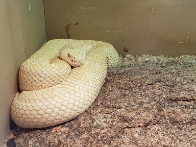 Photos of Snake Park