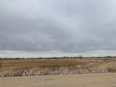 Roswell Marsh Wildlife Habitat Area