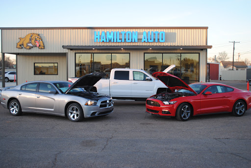 Hamilton Auto - Visual