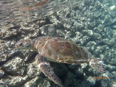 Photos of Pulau Liukanglu