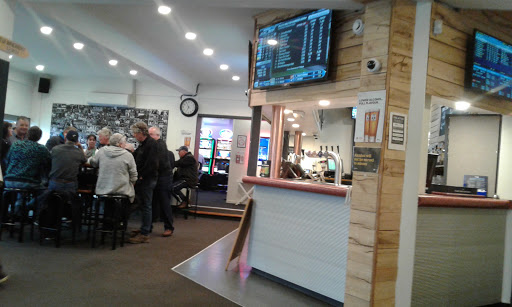 The Pinetree Arms Gallery - New Zealand