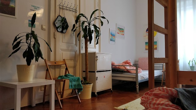 Activity Hostel