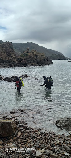 Puerto ARBOLITOS - Thumbnail