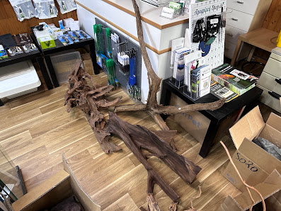 Aquaplant-Shop.de Herrendienstweg 67, 32120 Hiddenhausen, Deutschland