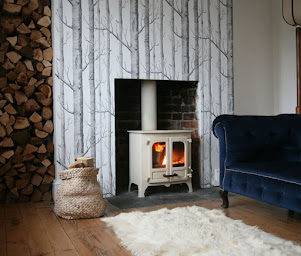 Photo n°14 de TDL Ancenis, spécialiste poêles à bois, pellets & inserts scandinaves à Ancenis-Saint-Géréon (Cheministe)