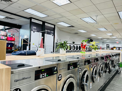 Laundrybee - Kew Gardens Hills - Thumbnail