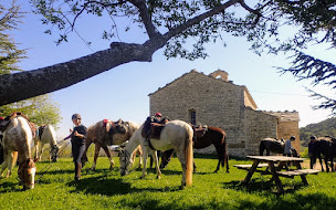 Photo n°7 de Centre de tourisme équestre Les Granges à Ongles (Centre équestre)
