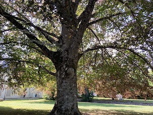 Photo n°13 de Philippe FRANCOISE Location à Périgny (Agence de location d'appartements)