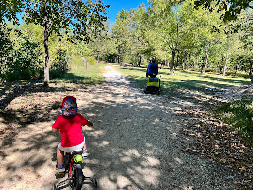 Wolf River Trail - Visual