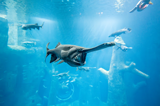 AQUATIS Aquarium-Vivarium Gallery - United States