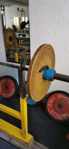Gerds Fitness Gallery - Germany