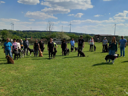 Michls Hundetreff Hundehotel und Ausbildungszentrum in Deinschwang - Thumbnail