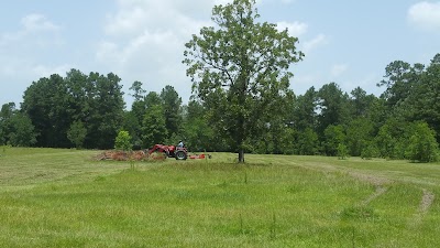 Atakapa-Coushatta Trace Visitors