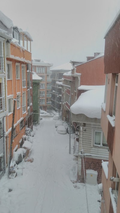 Photos of Nurtepe Mosque