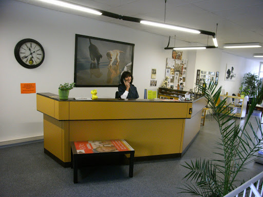 Kleintierpraxis Dr.(Univ.Zagreb) Uzur - Thumbnail