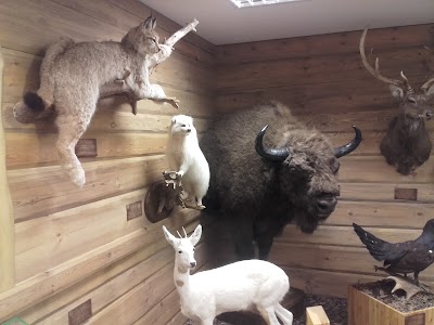 Photos of Hunting and Nature Museum