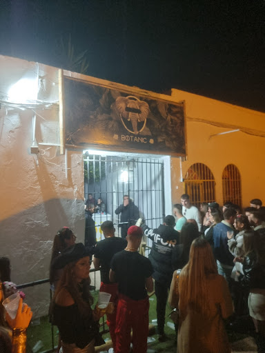Discoteca Botanic - Visual