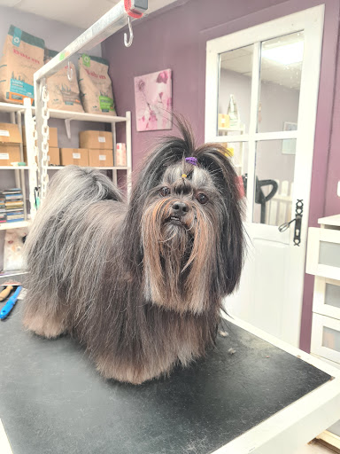 Photo de Coupé Agnes à Saint-Witz (95470)