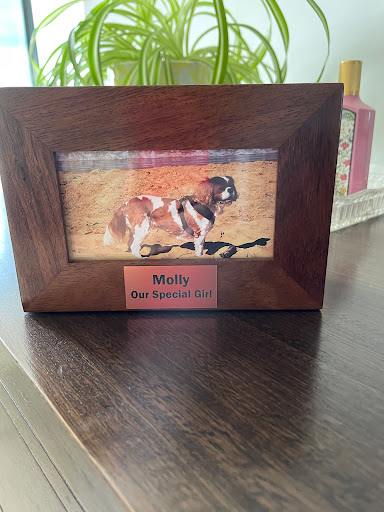 Rupert's Pet Cremation & Transport - Thumbnail