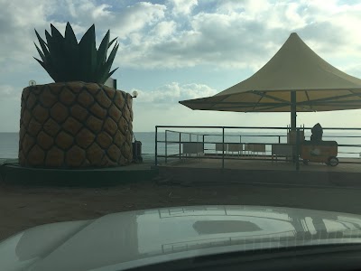 Photos of كوخ الاناناس للعصائر kuokh_alananas