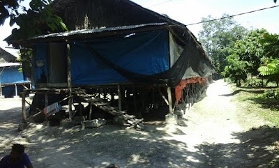 Photos of Utama Jaya Farm (Farm 2 MAS)