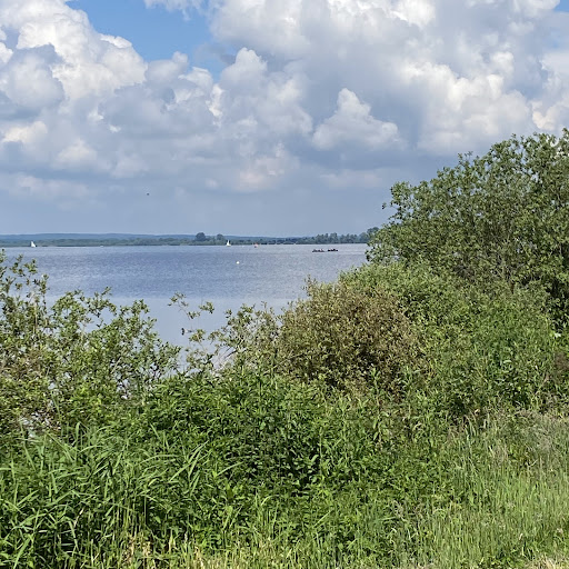 Dümmer Nature Park - Thumbnail