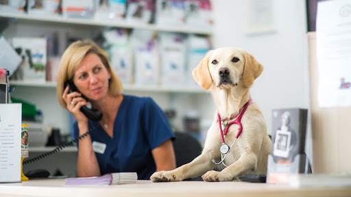 Rhodes Veterinary Surgery - Thumbnail