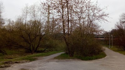 Photos of Enter To Vingio Park