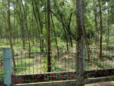 Photos of Mithapukur Ecopark