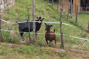 Photo n°11 de Location de vacances - Chambre d'hôtes - Grenoble à Saint-Jean-le-Vieux (Hébergement)
