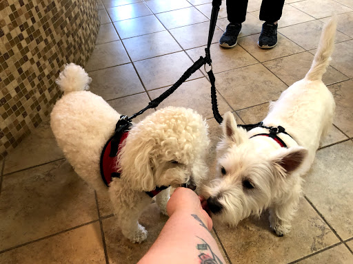 Midland Park Veterinary Hospital - Thumbnail