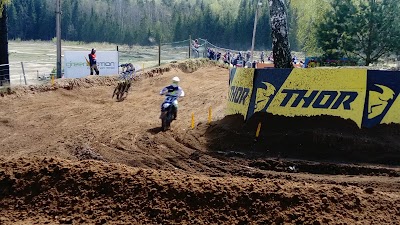 Photos of Zelta Zirgs