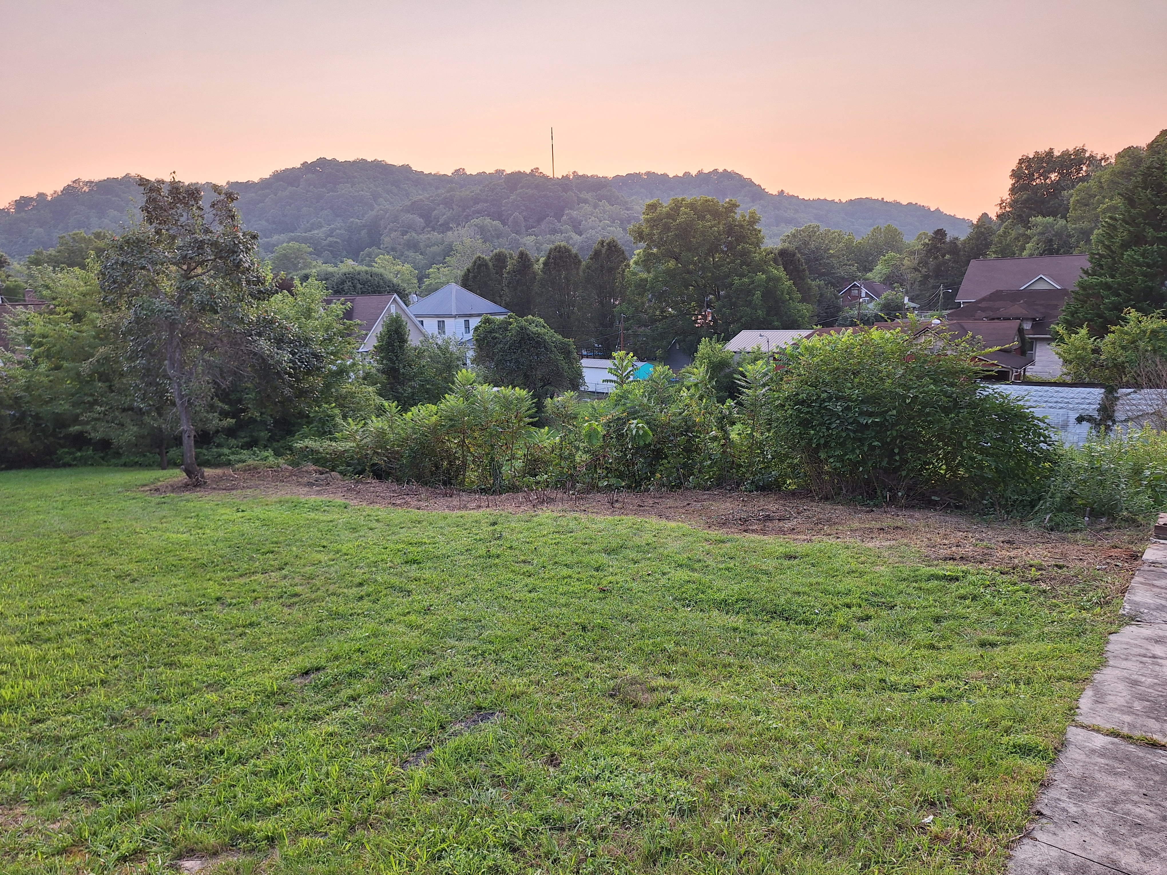 Anomaly Gardens LLC