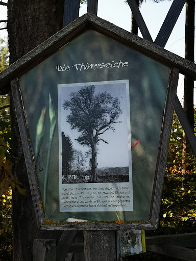 Waldparkplatz Thimos - Thumbnail