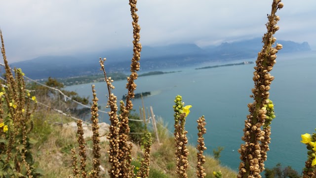 Riserva Naturale Orientata della Rocca e del Sasso