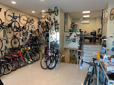 Delta Cycling Kiziltoprak Istanbul