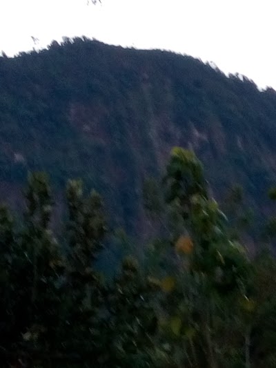 Photos of Finca Tinamaste Capi