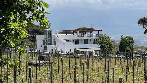 Cantina Del Vesuvio Winery Russo Family since 1930