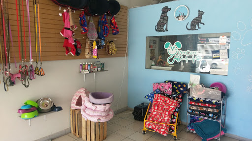 Clinica Veterinaria Vet Care Ags