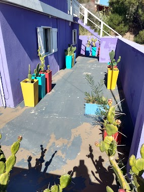 Casa violeta, Author: Graciela Gil