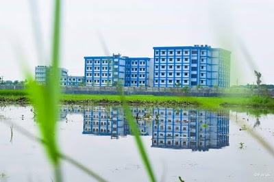 university