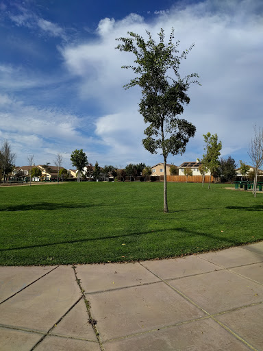 Santa Barbara Park Gallery - United States
