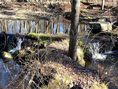 Babcock Preserve